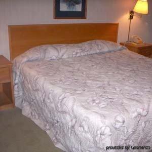 Princess Motel Maryville Room photo